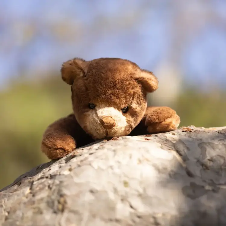 Peluche Ours Ranger brun