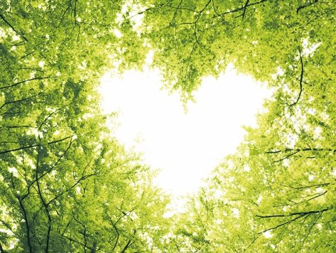 Serviettes de table - L'amour de la nature