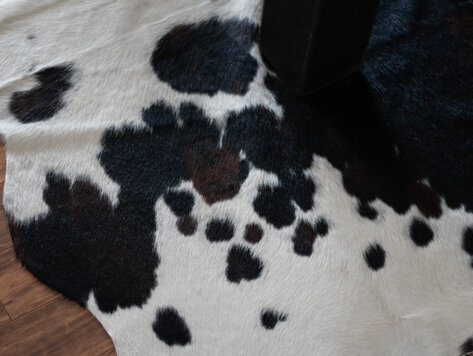 Peau de vache d’Argentine (extra-grande)