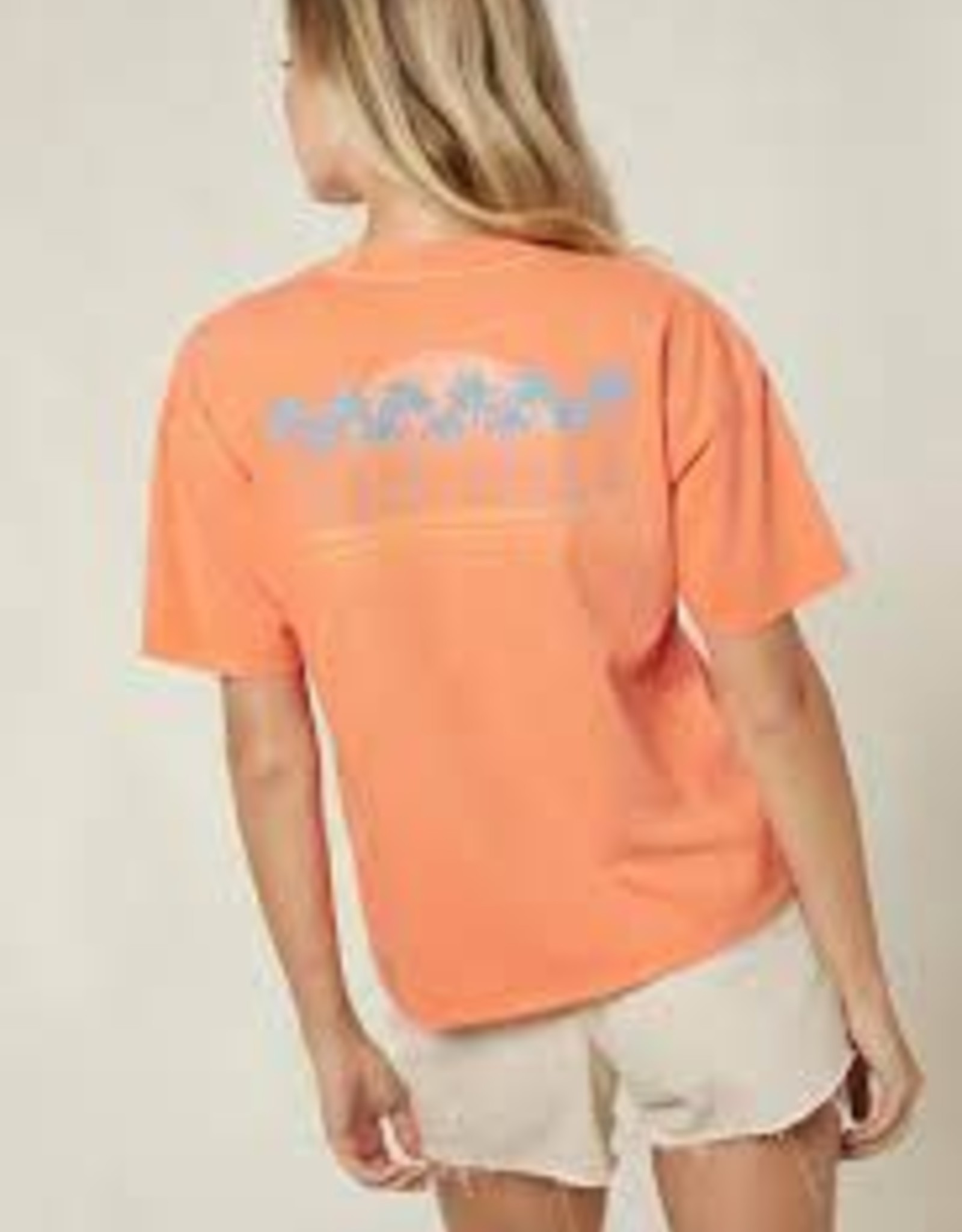 oneill Oneill Pacific Strip S/S Tee HO1418027