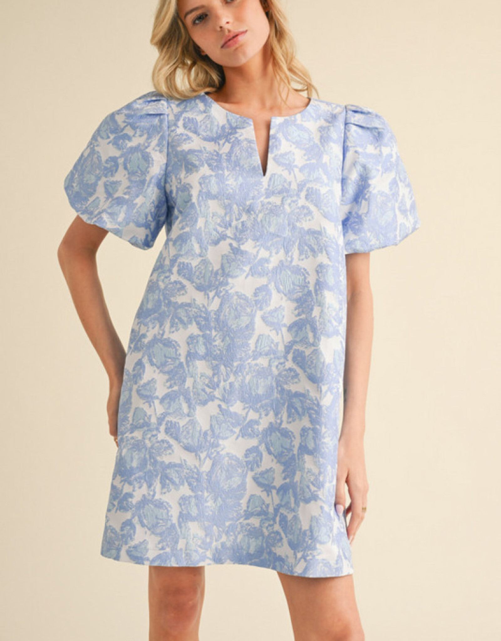 Blue Floral Jacquard Dress