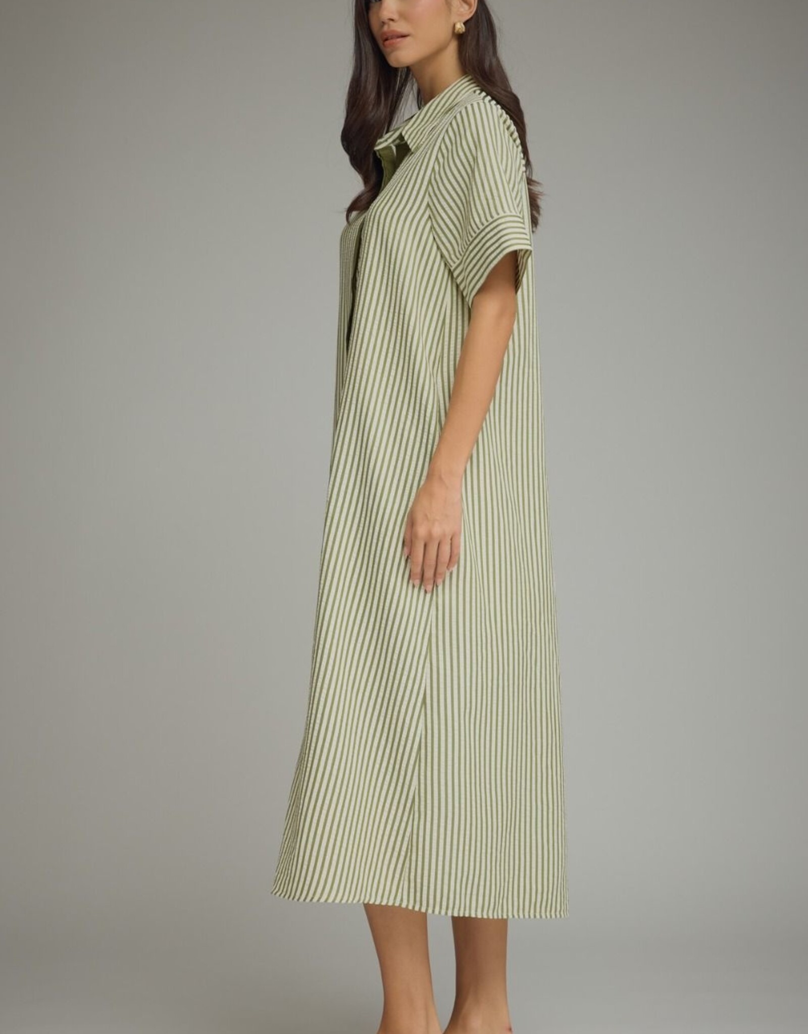 Hunter Green Striped Button Down Dress