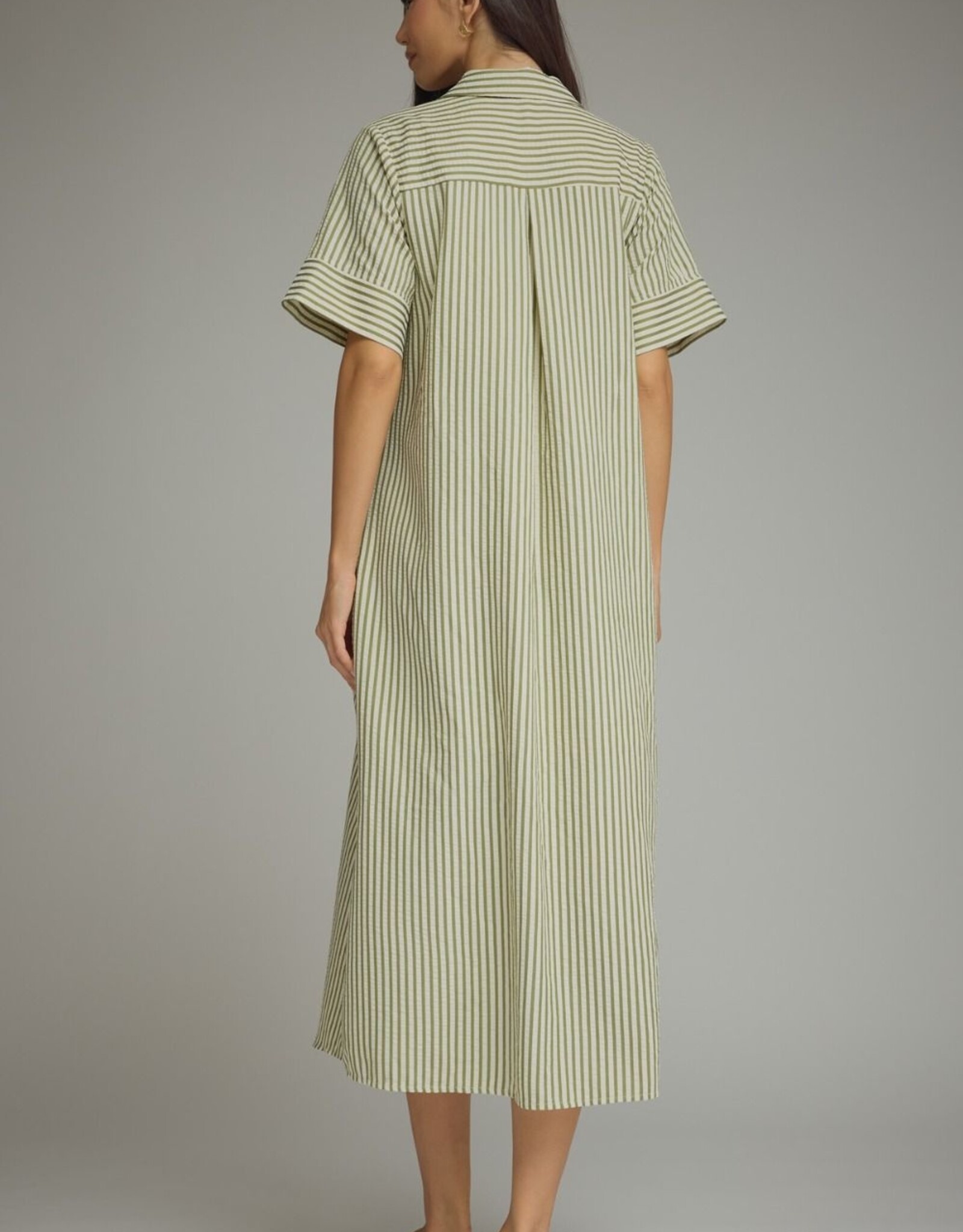 Hunter Green Striped Button Down Dress