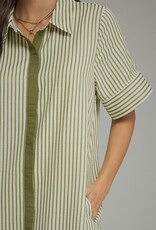 Hunter Green Striped Button Down Dress