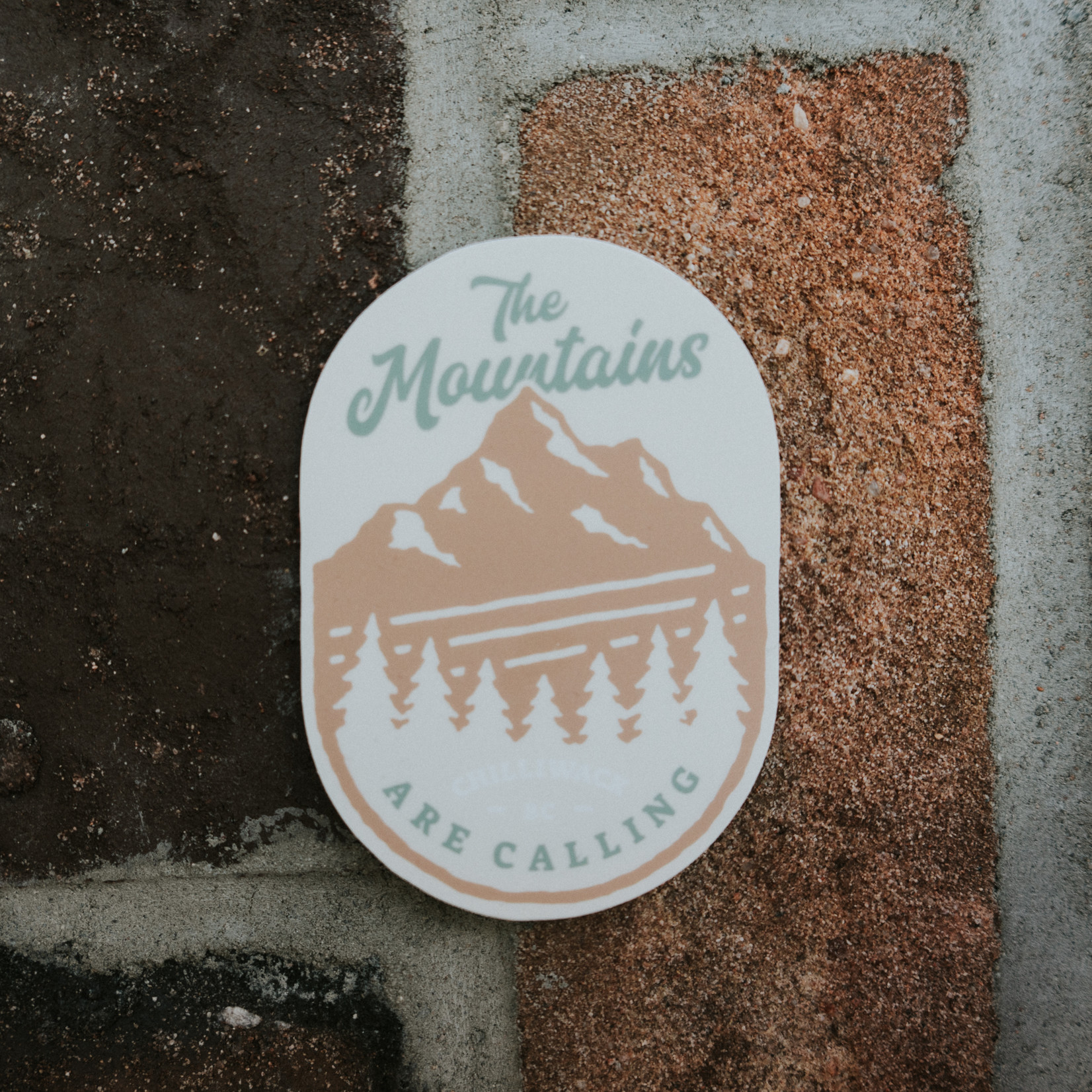 Northwest Sticker Co The Mountains are Calling Sticker