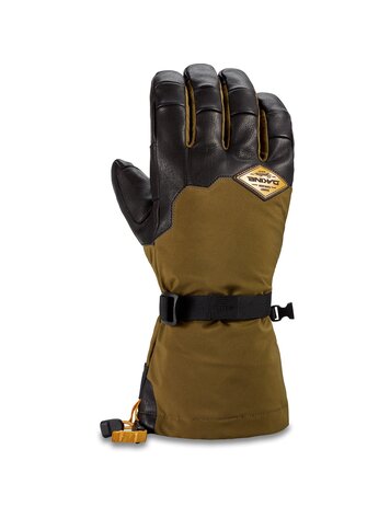 Dakine Dakine Team Phoenix Gore-Tex Glove
