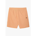 O'Neill O'Neill Hyperfreak Solid Shorts