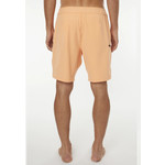 O'Neill O'Neill Hyperfreak Solid Shorts