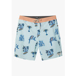 O'Neill O'Neill Schubert Cruzer Shorts