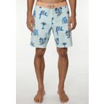 O'Neill O'Neill Schubert Cruzer Shorts