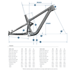 Pivot Cycles Pivot Firebird Ride SLX/XT