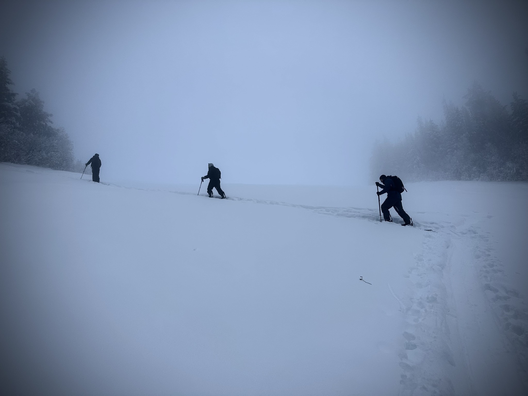 Avalanche Safety