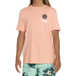 Volcom Volcom Farm To Yarn Rayz Short Sleeve Tee