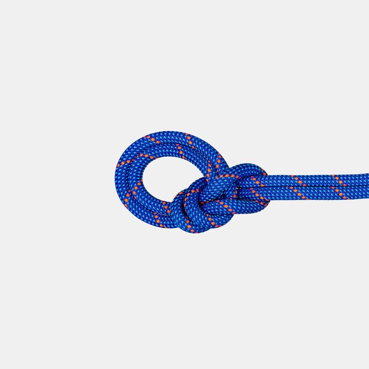 Mammut Mammut 9.5 Crag Dry 60m Rope - Blue Ocean