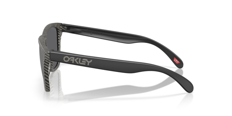 Oakley Oakley Frogskins Sunglasses