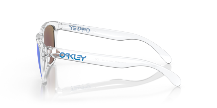 Oakley Oakley Frogskins Sunglasses