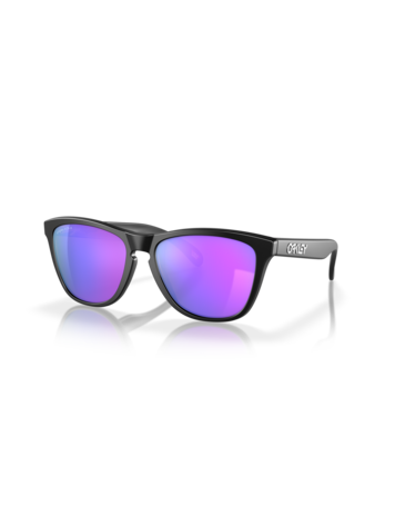 Oakley Oakley Frogskins Sunglasses