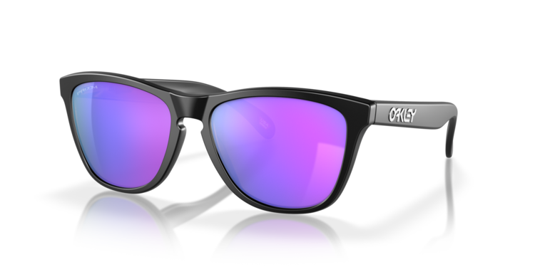 Oakley Oakley Frogskins Sunglasses