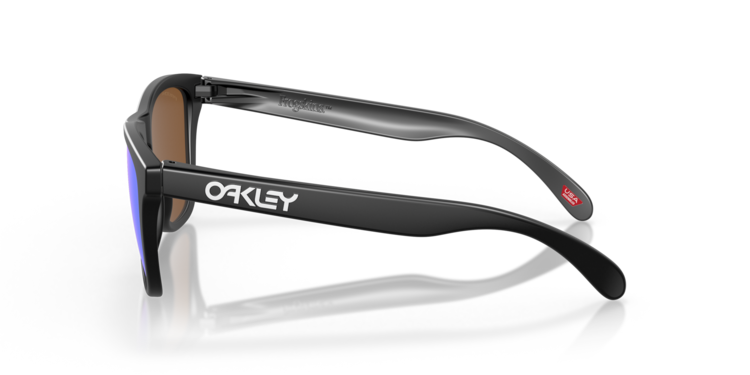 Oakley Oakley Frogskins Sunglasses