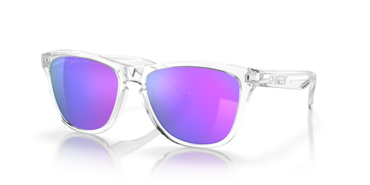 Oakley Oakley Frogskins Sunglasses