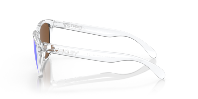 Oakley Oakley Frogskins Sunglasses