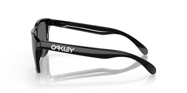 Oakley Oakley Frogskins Sunglasses