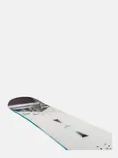 head-2026-head-true-20-grey-