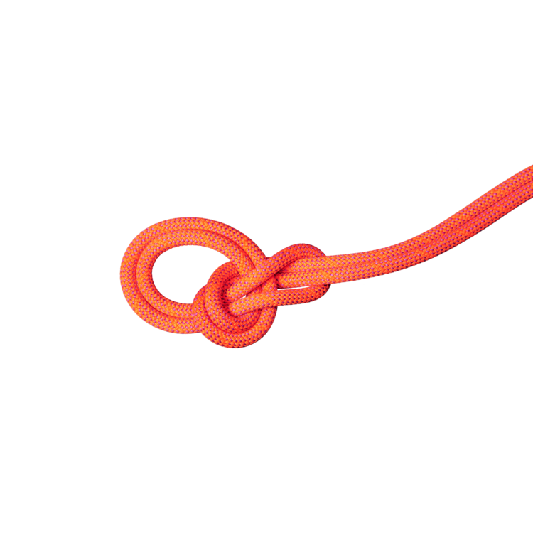 Mammut Mammut 9.5 Crag Dry 70m Rope - Boa Vibrant Orange