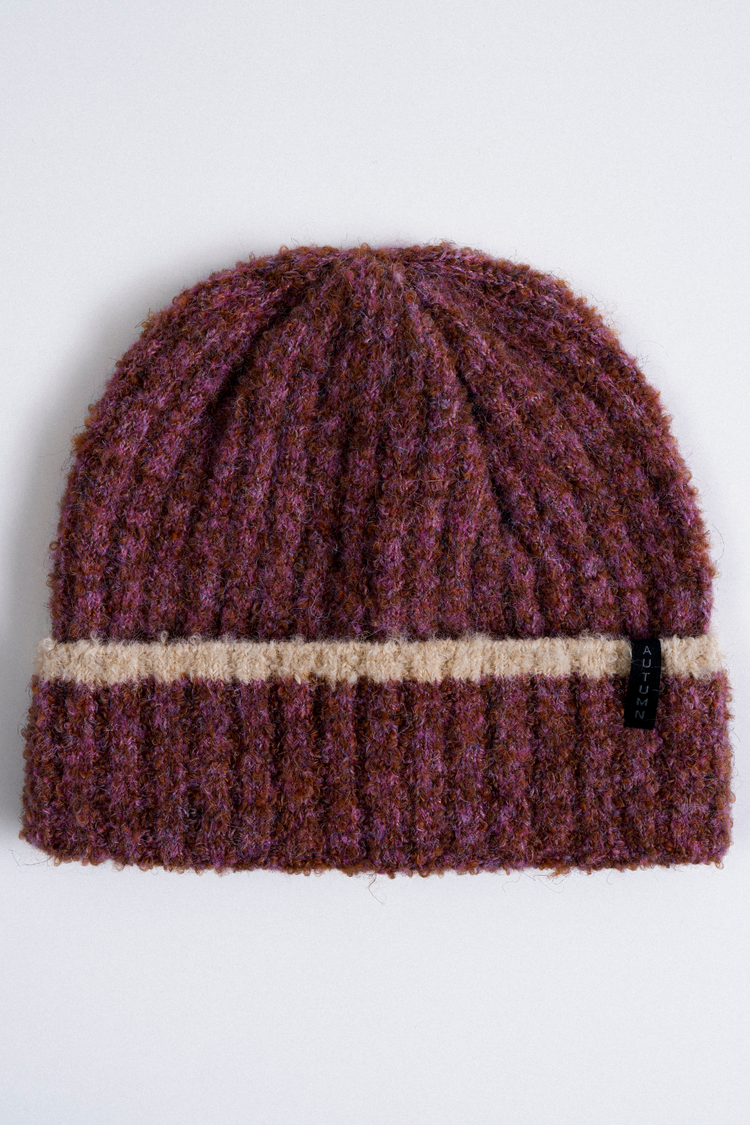 Autumn 2027 Autumn Teddy Beanie