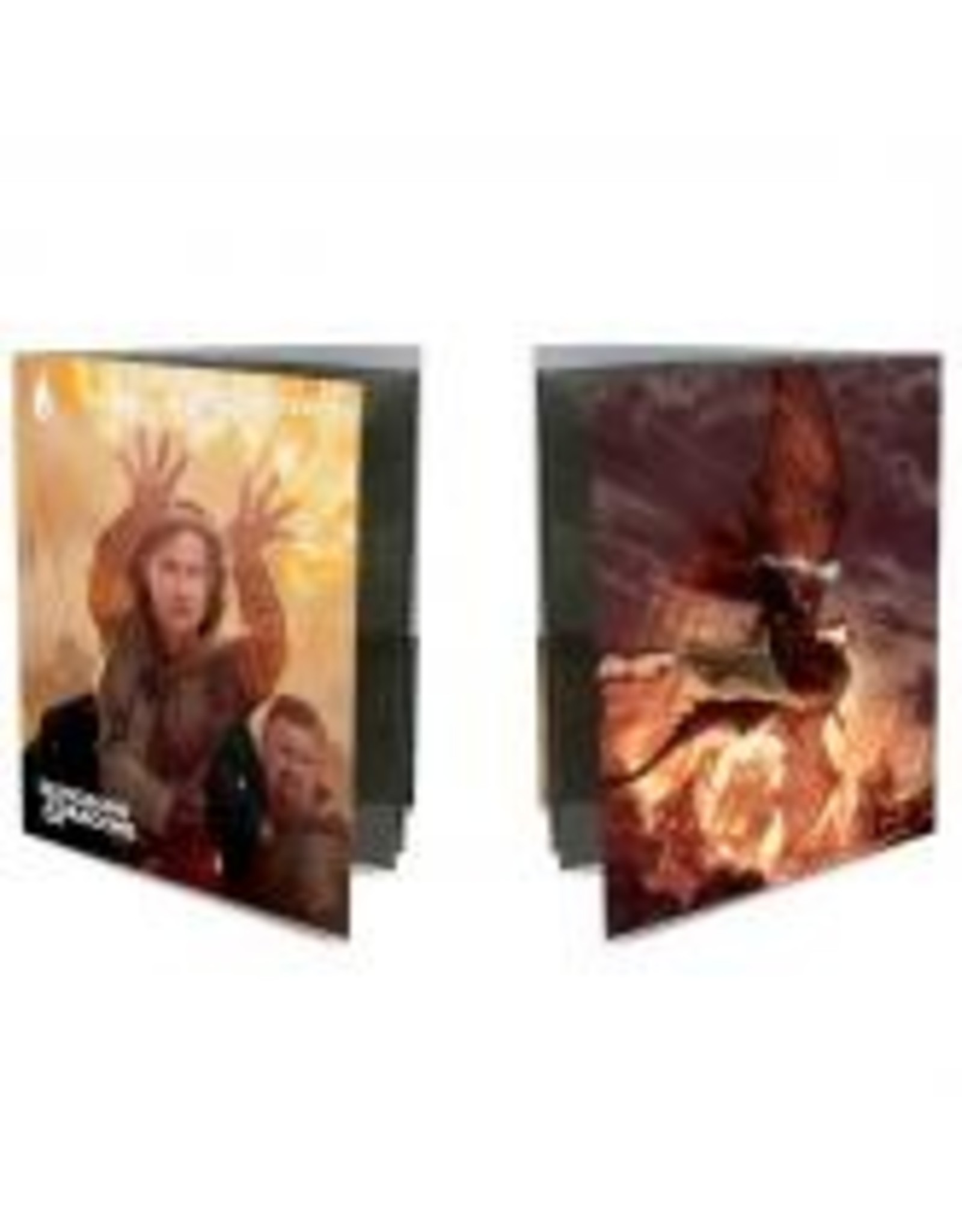 Dungeons & Dragons - Class Folio