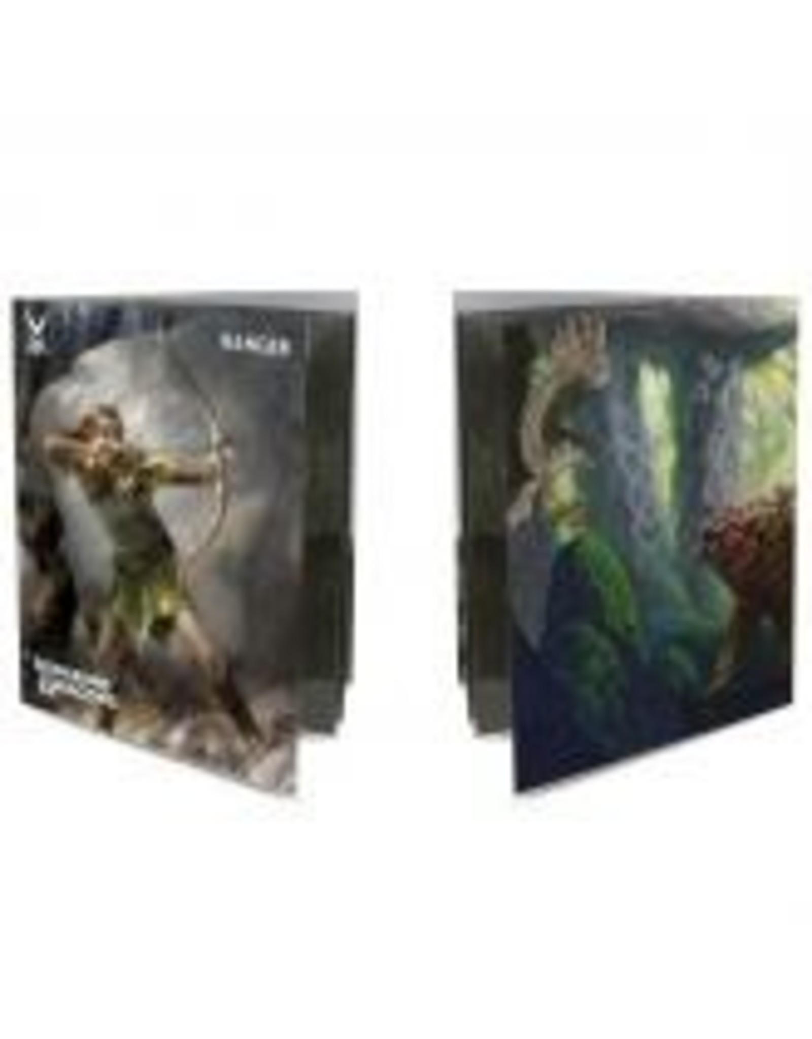 Dungeons & Dragons - Class Folio