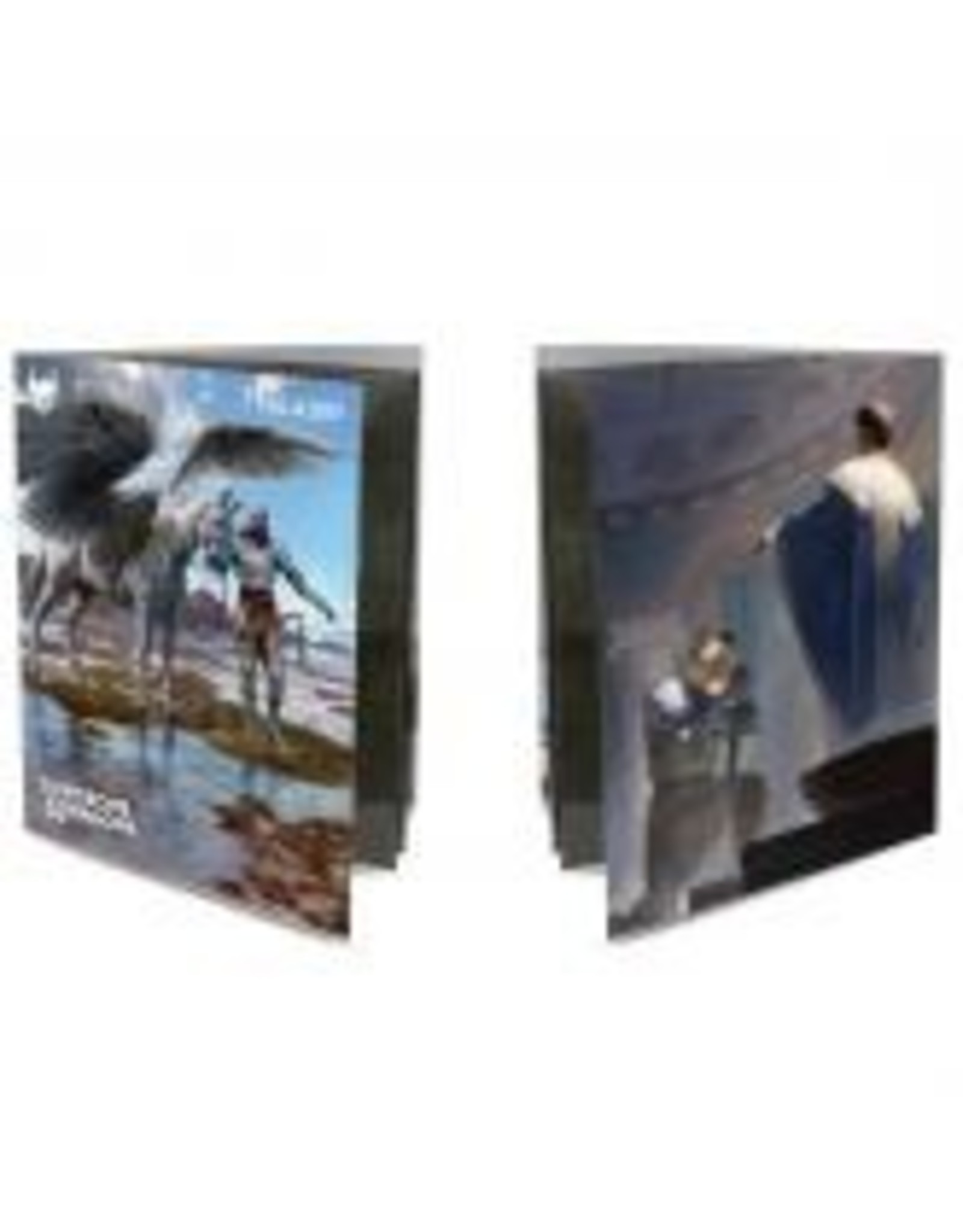 Dungeons & Dragons - Class Folio