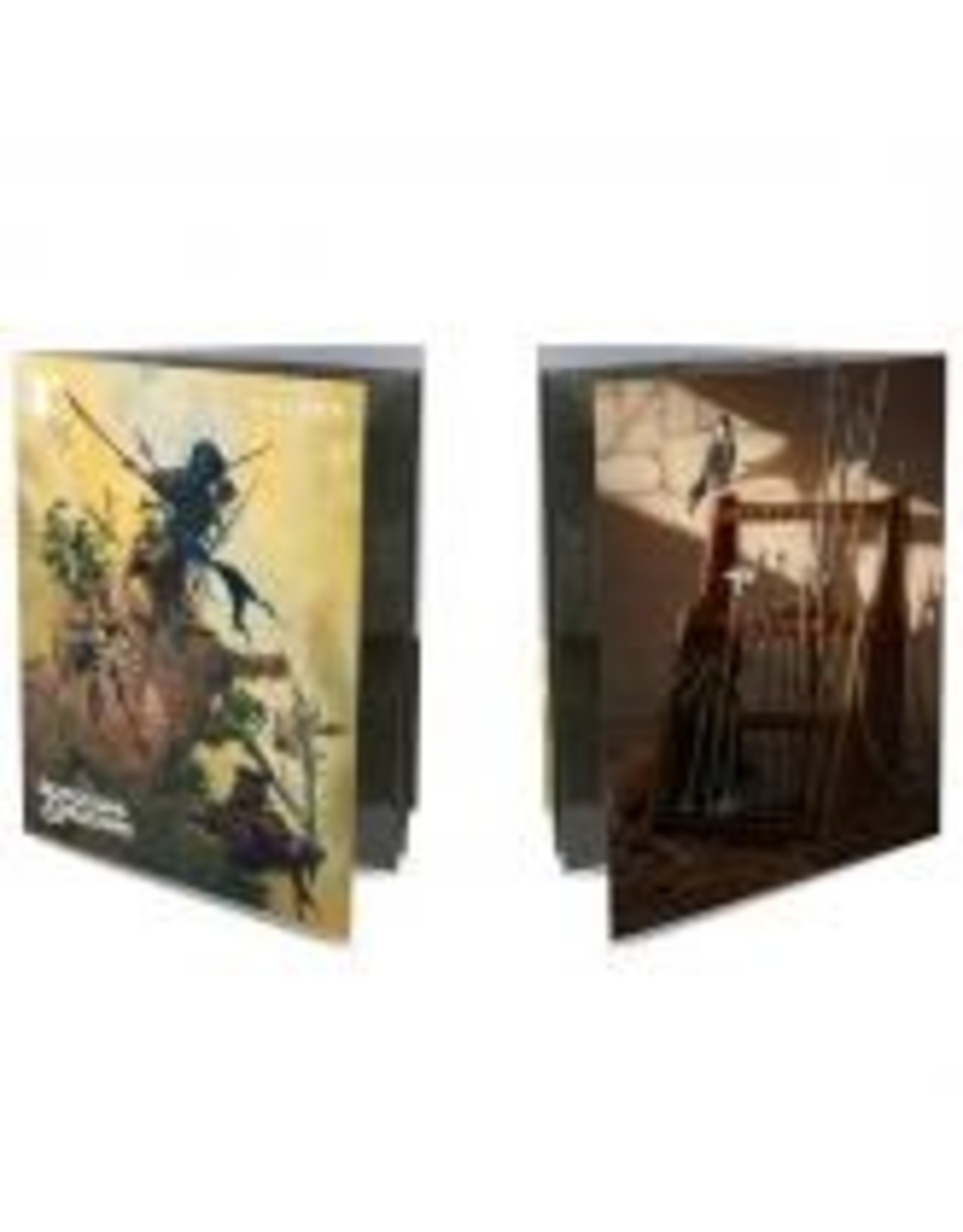 Dungeons & Dragons - Class Folio