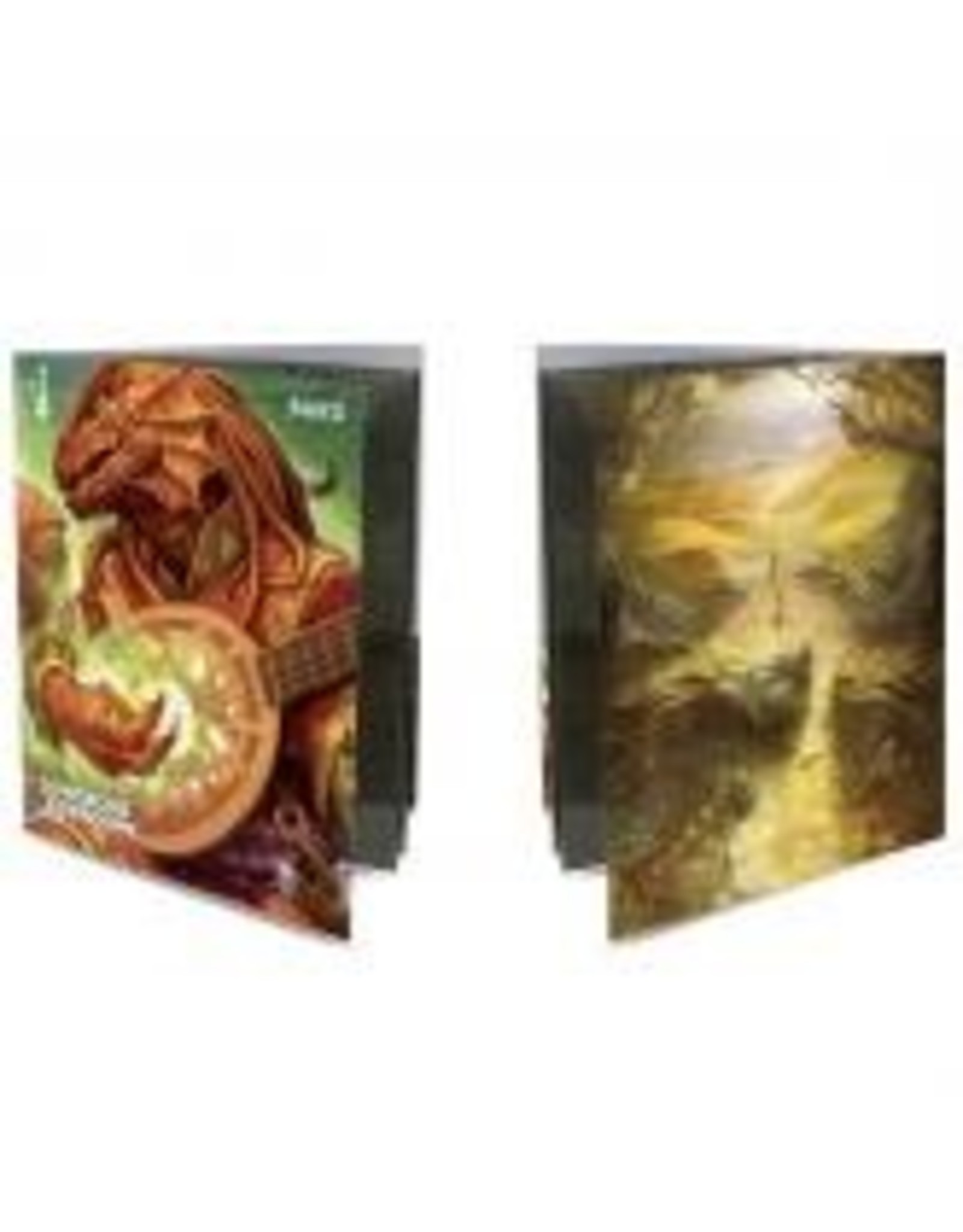 Dungeons & Dragons - Class Folio
