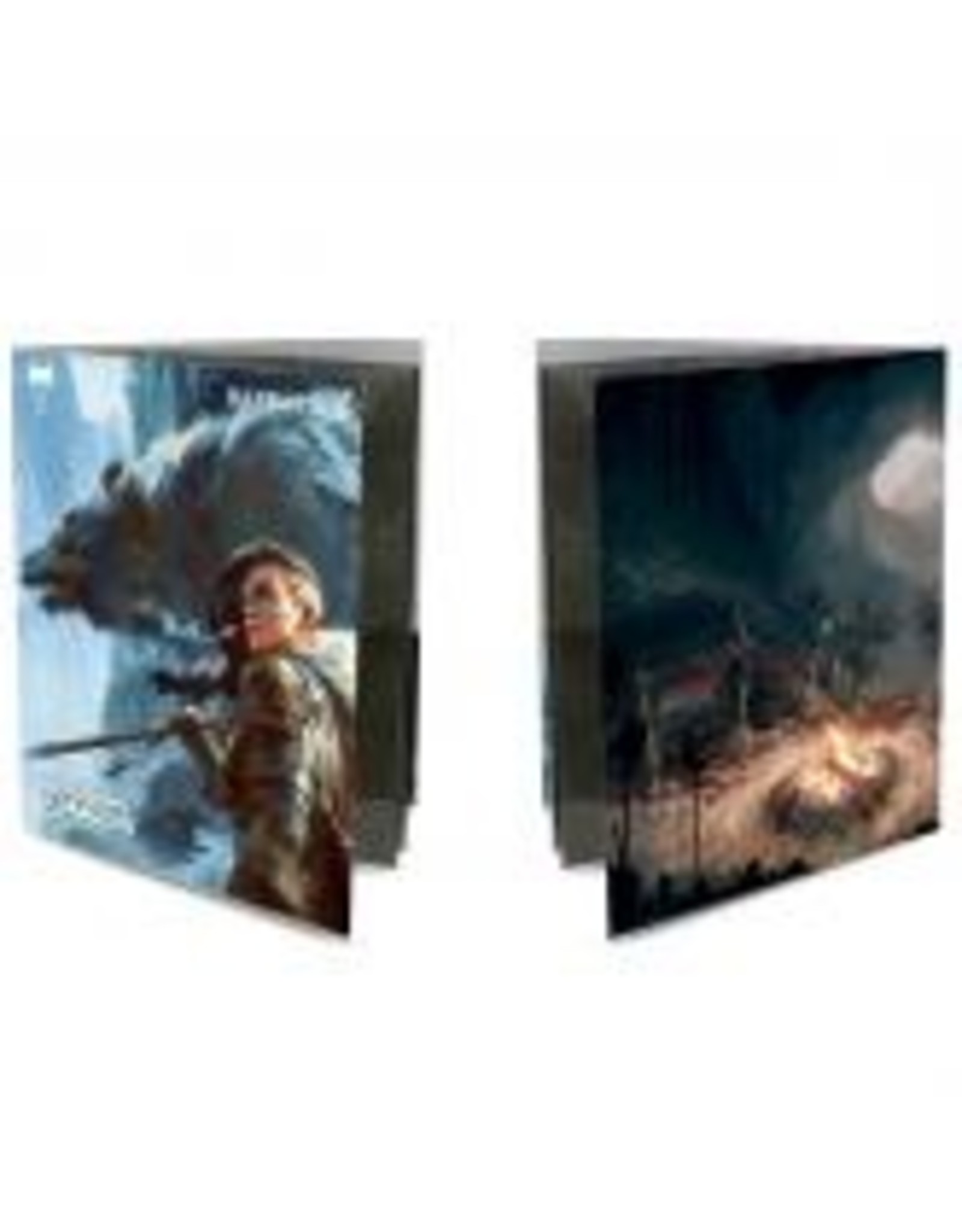 Dungeons & Dragons - Class Folio