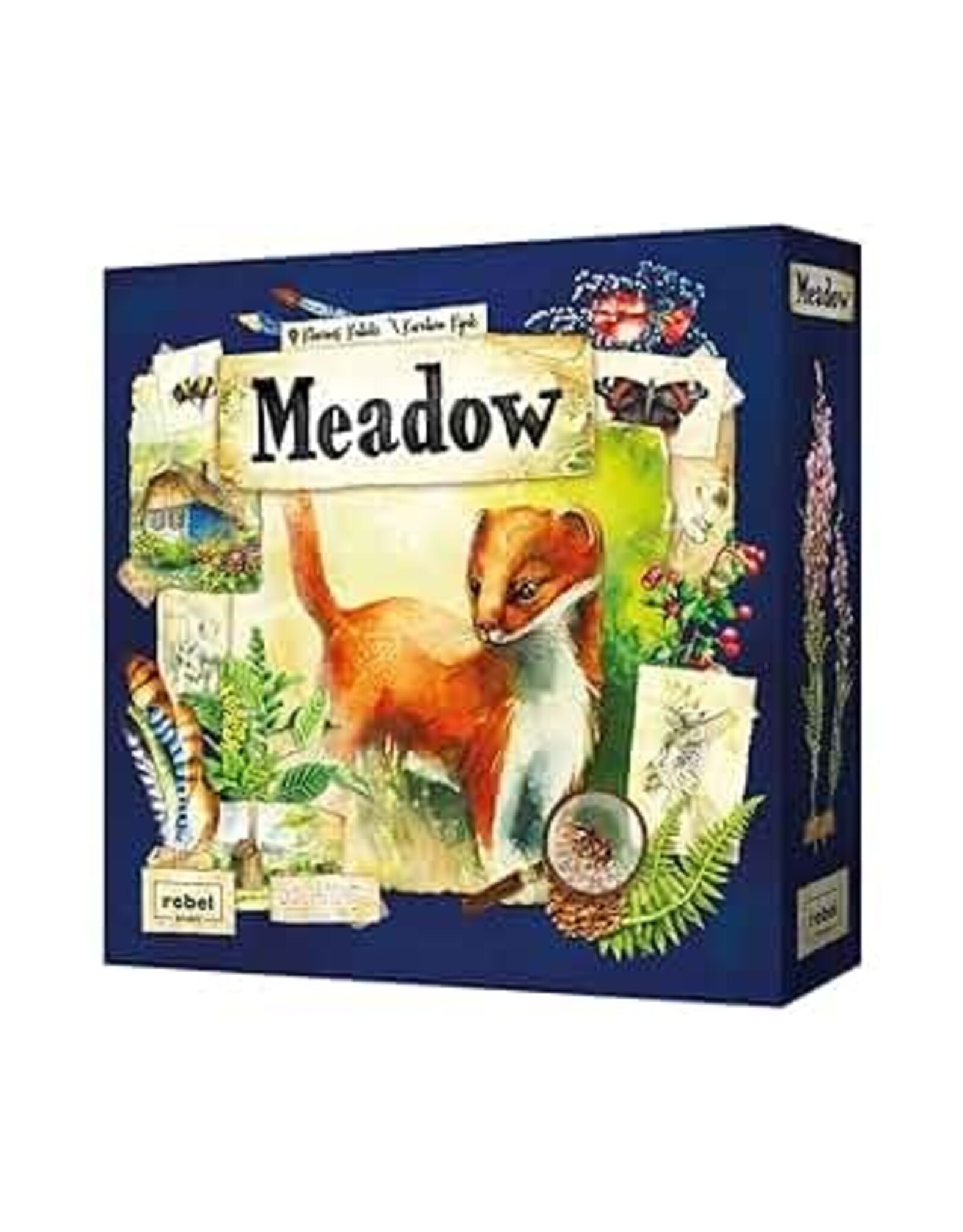 Meadow