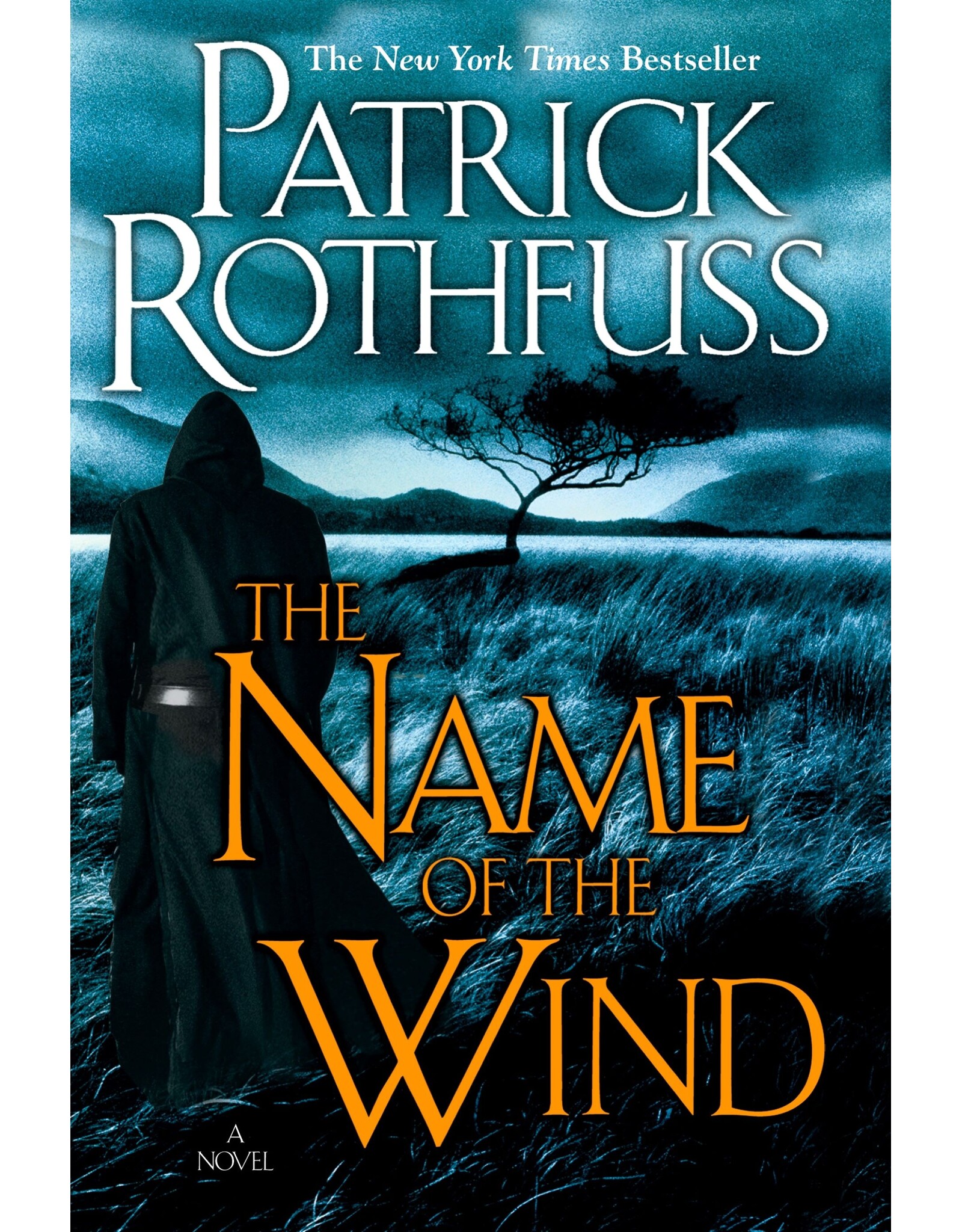 Penguin The Name of the Wind