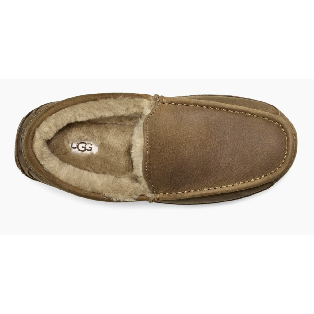 Ugg Ugg Ascot Matte Leather Slipper