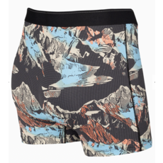 Saxx Saxx Quest Boxer Brief Mountainscape