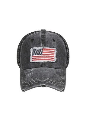 COCO New York American Flag Baseball Hat