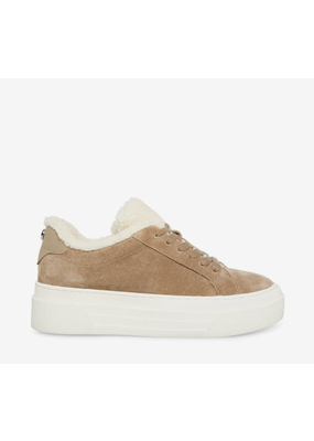 Steve Madden Studio-F Sneaker