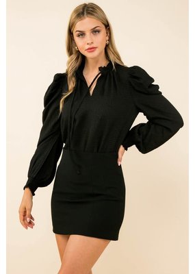 THML Long Puff Sleeve Blouse