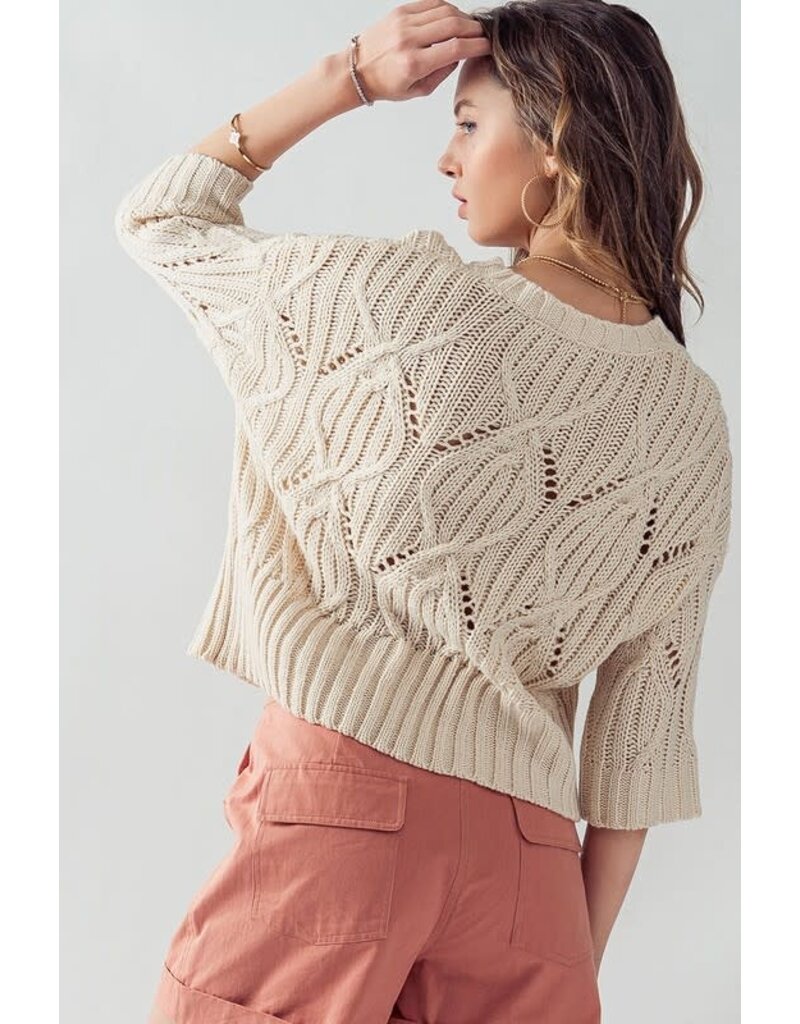 Trend Notes Trend Notes Crochet Crew Neck Sweater