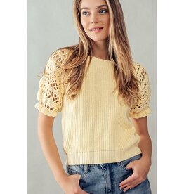 Trend Notes Crochet Short Sleeve Knit Top