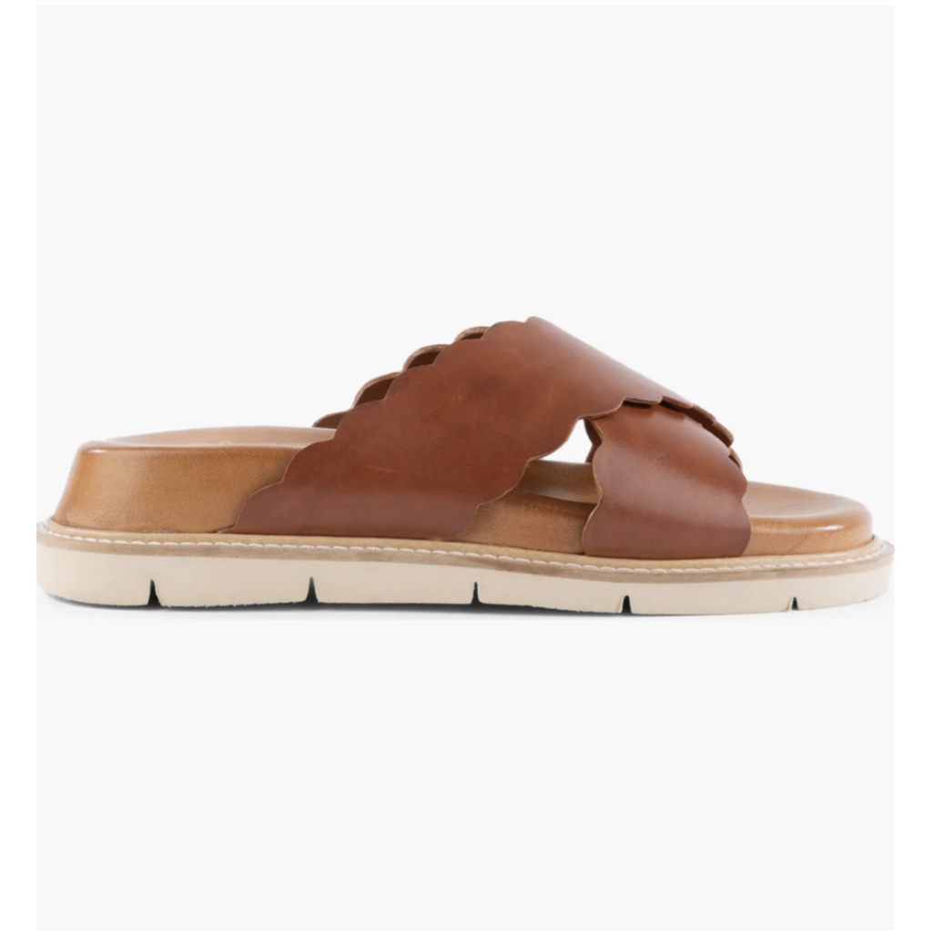 Seychelles Seychelles Woodstock Sandal