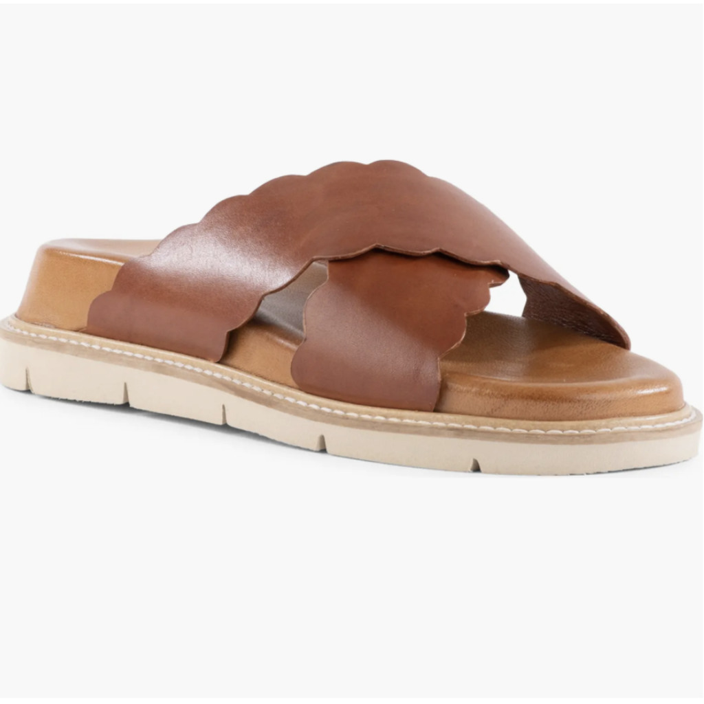 Seychelles Seychelles Woodstock Sandal