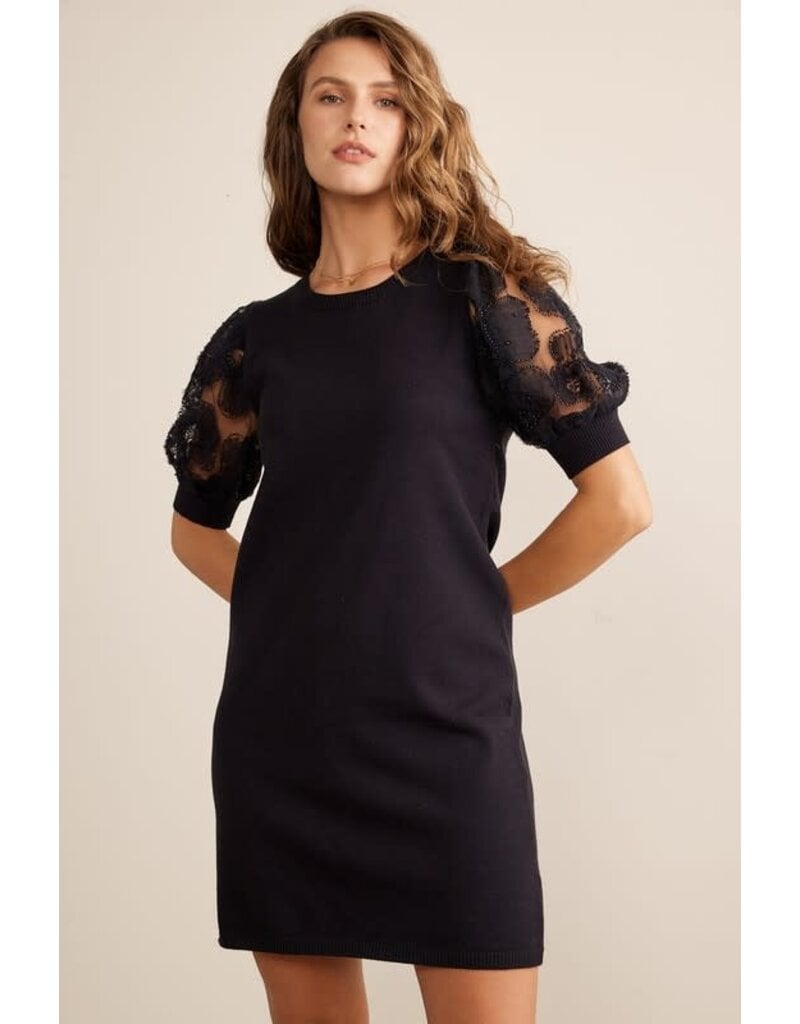 In February In February Sheer Mesh Sleeve Mini Sweater Dress