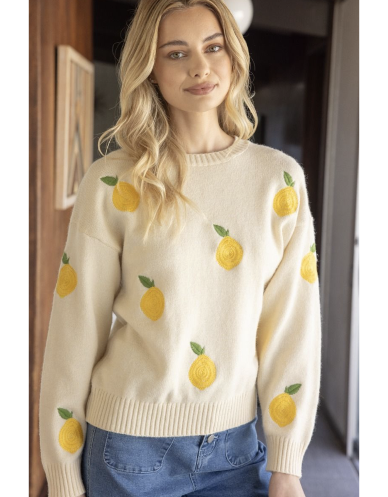 Voy Voy Lemon Embroidered Sweater Top