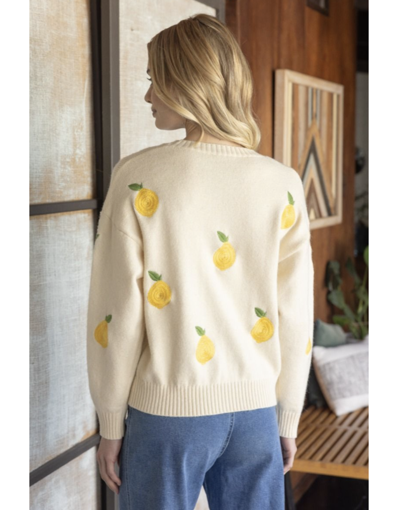 Voy Voy Lemon Embroidered Sweater Top