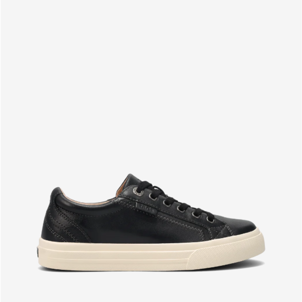 Taos Taos Plim Soul Lux Leather Sneaker